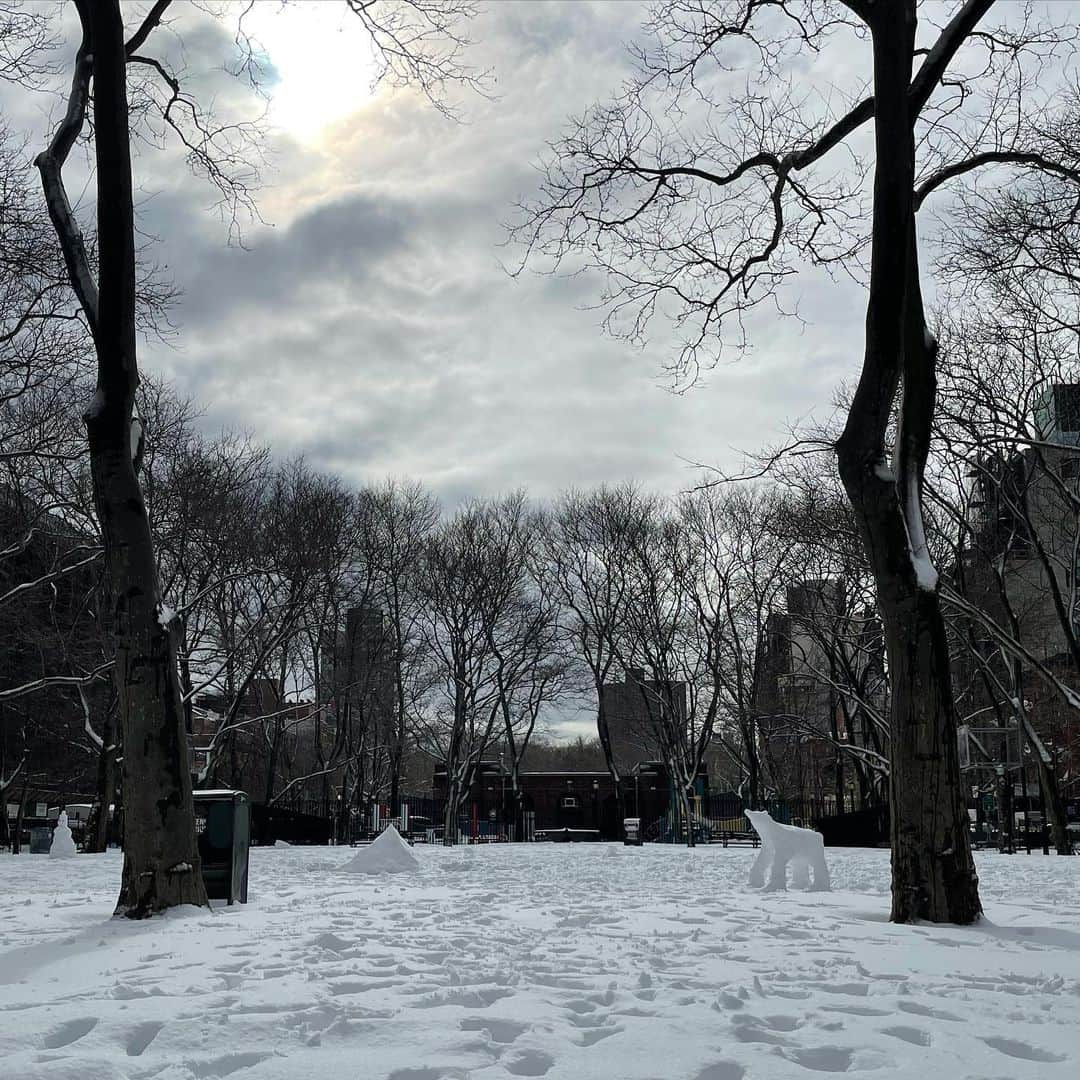 オランピアルタンのインスタグラム：「🐻‍❄️ #IloveNY 🤍」