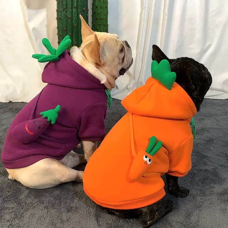 French Bulldogさんのインスタグラム写真 - (French BulldogInstagram)「Fruits & Veggies French Bulldog Hoodie 🍆🥕 ... 👉 If you’re searching for a high-quality, minimal hoody that your Frenchie can wear day in, day out, look no further. Fruits & Veggies 🥕🍆🍌🥑 French Bulldog Hoodie is crafted from high-quality loopback cotton to ensure longevity, superior comfort, and breathability. 💥 ... Exclusive in @frenchie.world shop 🛍🛍🛍 👉 LINK IN BIO 🔝 . . . . . #frenchie #frenchies #französischebulldogge #frenchbulldog #frenchbulldogs #dog #dogsofinstagram #frenchieworld #bully #bulldog #bulldogfrances #フレンチブルドッグ #フレンチブルドッグ #フレブル #ワンコ #frenchiesgram #frenchbulldogsofinstagram #ilovemyfrenchie #batpig #buhi #squishyfacecrewbulldog」2月4日 2時56分 - frenchie.world