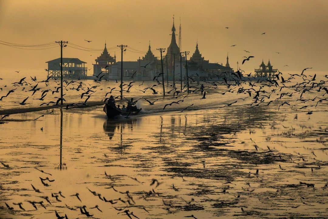 Michael Yamashitaのインスタグラム：「Seemingly floating atop of Indawgyi Lake, is the Shwe Myintzu Pagoda, a revered pilgrimage site housing sacred Buddhist relics. The power of the spirit world is evidenced by the scene around the lake, its shores sparsely populated due to the belief that it is home to a fierce demon. Mysticism snd spirituality pervade the country of Myanmar, even while the upheaval of its civilian government by the military using unsubstantiated claims of voter fraud in recent democratic elections. Pilgrims walk across the causeway to  toss corn like confetti to attract and feed thousands of sea gulls in the hope that this act of kindness to the birds will help them avoid returning to life as one of them. #shwemyintzupagoda #myanmar #indawgyilake」