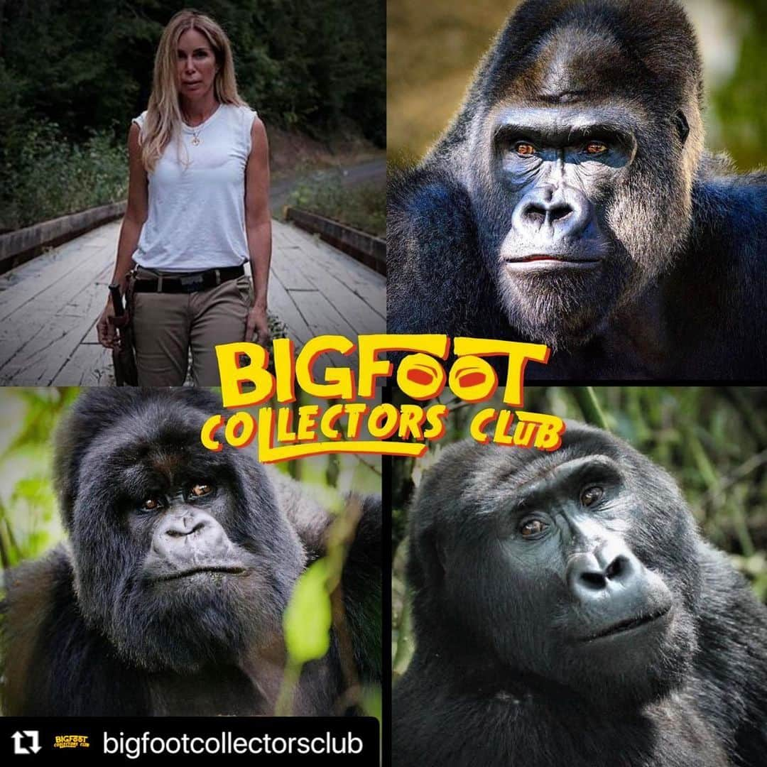 ブライス・ジョンソンのインスタグラム：「BCC 147 - “Selling Skunk Ape” w/ @mireyamayor has landed! BCC's interviews with #ExpeditionBigfoot lead cast members continues with primatologist DR. MIREYA MAYOR. Along with co-discovering a new species of lemur and her extensive experience studying primates in the field, Dr. Mayor may also have a ghost story or two. Plus, Bryce uses his High Strangeness to try to SELL SKUNK APE! Will Dr. Mayor bite?!  #Repost @bigfootcollectorsclub with @make_repost ・・・」