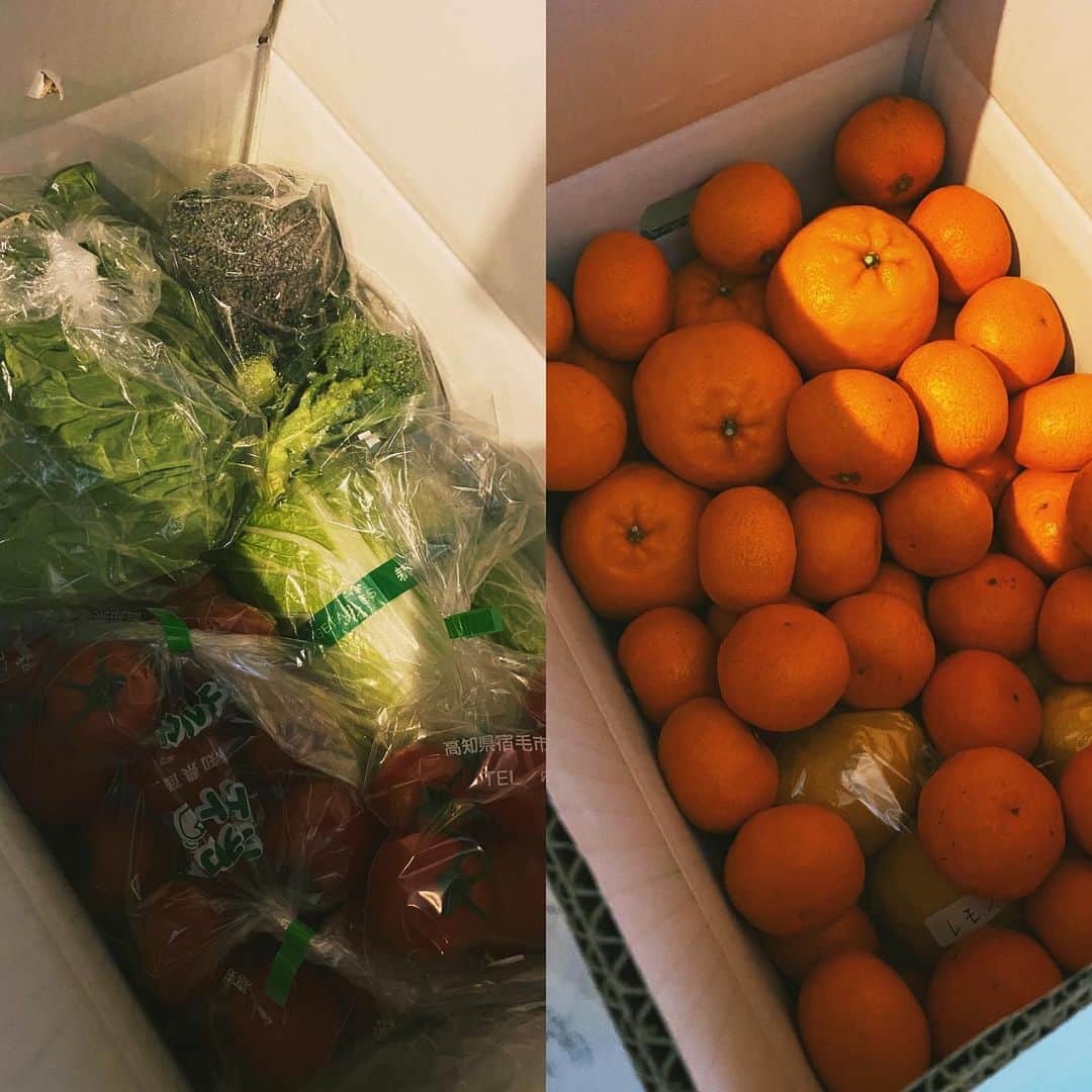 寺田明日香のインスタグラム：「先日、なるた果樹園 @naruta_citrus さんからお野菜と柑橘を送って頂きました〜！！  この蜜柑、なんでこんなに甘いの…？🥺どんどん減ります。  ビタミン沢山補給して、がんばるぅ〜🍊 成田さん、ありがとうございます！！  @eri_naruta  #なるた果樹園 #柑橘 #やっぱりビタミンよね #疲労回復 #なんせ前厄だから #からだ大事にせんと」