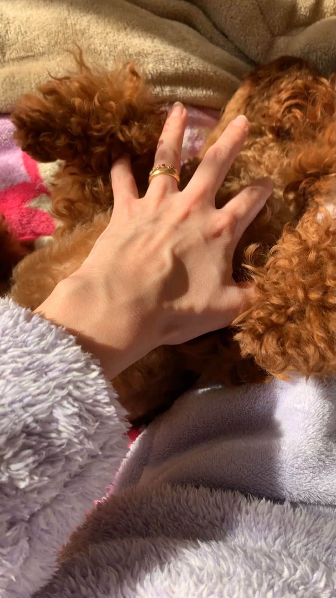 町田亜里香のインスタグラム