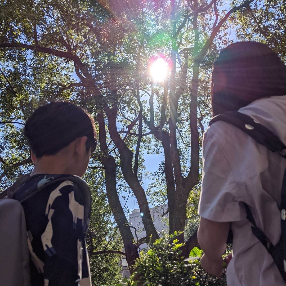The Twins Chelsea & Jesperのインスタグラム：「無法出國旅遊的日子 也可以試著用旅遊的心情在家附近走走 其實是要去找爺奶啦... 挑戰不開車 散步曬太陽走路去」