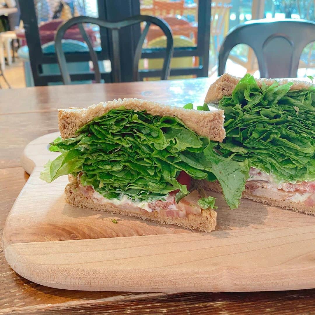 こまけいこのインスタグラム：「病院の日は街に出るので買い物したり、久しぶりに外ランチ。  少し前は、ベビーカー連れのママ友同士みたいな人達がすごく多かったんだけど今日は一組もいない。 逆に年齢層高め。  一番カロリー低そうなBLTサンド頼んだんだけど、ちょ待って！Lの量多過ぎない⁈比率おかしいでしょ。 まぁ、メイン野菜でいいんだけど。  #ネタじゃないよ　#昼は好きなもの食べていいルール　#パンは8枚切り　#白食パンではない　#昨日に引き続き糖質摂取　#ゆるダイエット　#bltサンド」