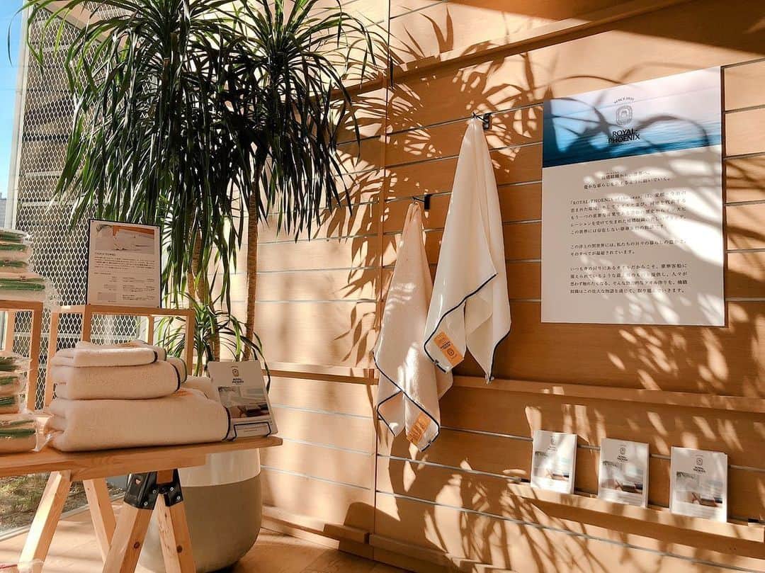 柏の葉 T-SITEのグルメインスタ