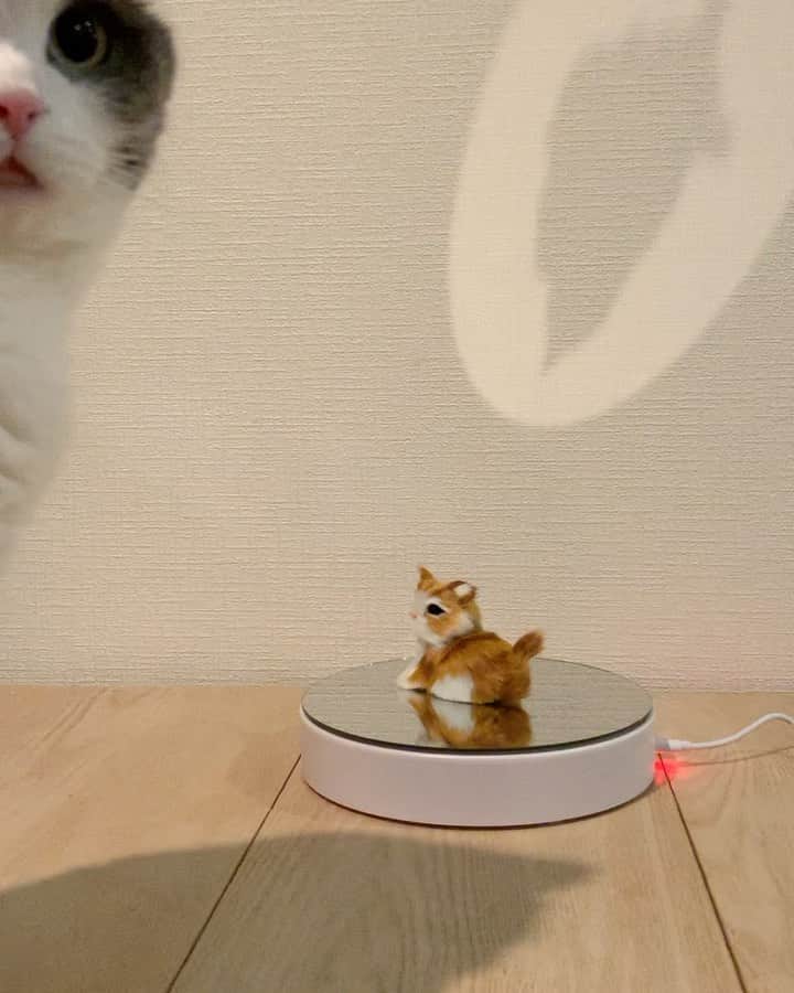 小谷実由のインスタグラム