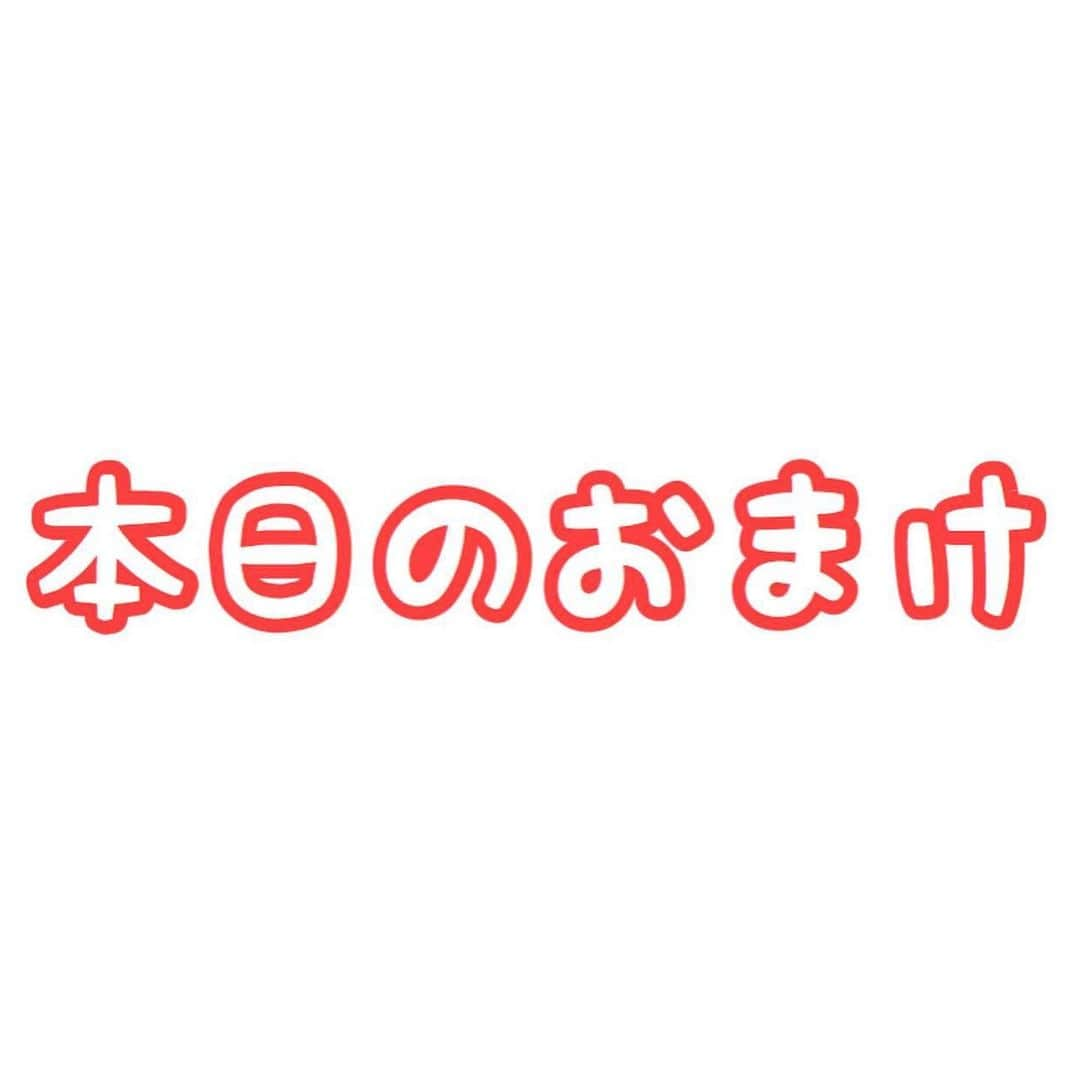 セロリさんのインスタグラム写真 - (セロリInstagram)「【チームいくらのお手本】 チームいくら、今年も頑張りますっ。 #maltese #マルチーズ #チームいくら #何気に大事なところ丸見え #prfm #malteseofinstagram #maltese101 #malteser #malteseofficial #maltesedog #dog #instadog #dogstagram #dogoftheday #doglovers #instapet #adorable #ilovemydog  #ペット #わんこ #ふわもこ部 #犬のいる暮らし #いぬら部  #いぬすたぐらむ #イッヌ」2月4日 14時14分 - celeryrabbit