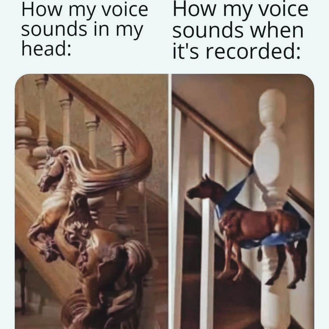カンディー・ジョンソンのインスタグラム：「Who else feels like the dangling horse from stairs besides me?!  ...since my very first outgoing recording on my very first cell phone😂 #the #voice」
