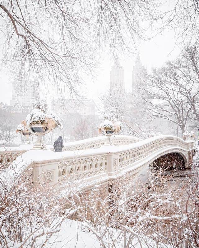 Lonely Planetのインスタグラム：「Sometimes even we forget how stunning a city blanked in snow really does look like a winter wonderland. It's hard not to get bundled up and head out to start building that epic snowman. ⠀⠀⠀⠀⠀⠀⠀⠀⠀ ⠀⠀⠀⠀⠀⠀⠀⠀⠀ Tell us - would you rather partake in a huge snowball fight or quietly build your own snowman?⠀⠀⠀⠀⠀⠀⠀⠀⠀ ⠀⠀⠀⠀⠀⠀⠀⠀⠀ 📷 via @212sid⠀⠀⠀⠀⠀⠀⠀⠀⠀ 📍New York⠀⠀⠀⠀⠀⠀⠀⠀⠀ ⠀⠀⠀⠀⠀⠀⠀⠀⠀ #Lonelyplanet #NYC #Newyorkcity #snowday」