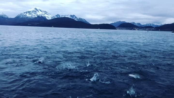 マイケル・ミュラーのインスタグラム：「I have taken this last year to really reflect on what’s important on this journey. Self love first, family second, and really starting to focus on using my gifts to help this planet, nature, issues like plastic and climate.  To try and help these next generations to be able to experience what I have been so blessed to experience.  I really appreciate embracing the unexpected.  When I’m in the moment I have been so blessed to witness wonders like this.」