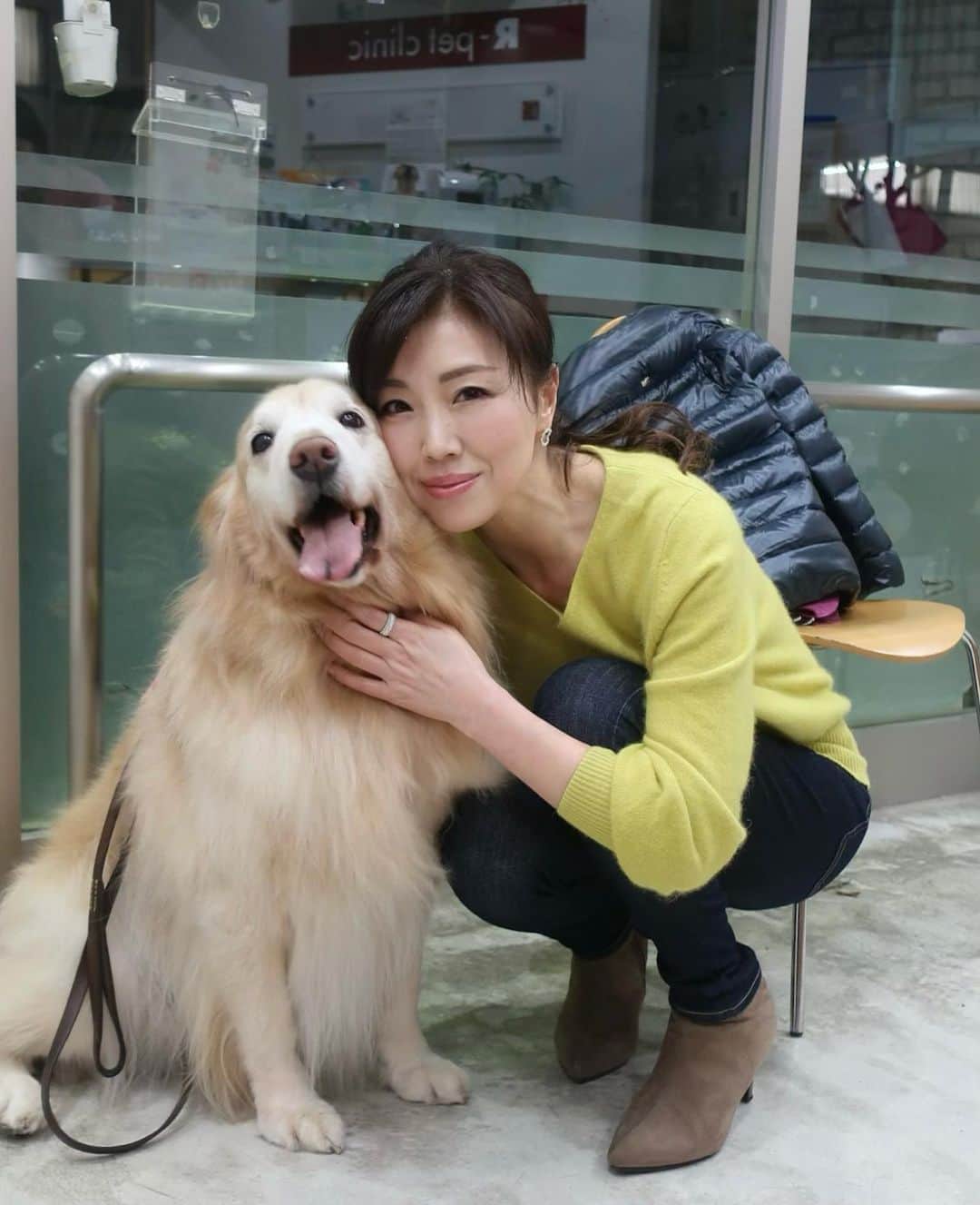 のインスタグラム：「#愛犬 ココア #シャンプー #トリミング 。 ココアが笑ってる♡ ・  ・ いい香り #ふわふわ  綺麗になりました。 ・  ・ #goldenretriever  #goldenretrieverlover  #ゴールデンレトリバー  #ゴールデンレトリバーのいる生活  #ごーるでんれとりばー  #癒し #かわいい  #大型犬のいる生活  #大型犬のいる暮らし  #dogsofinstagram  #doglover  #dogstagram  #dog  #smile  #happy  #love」