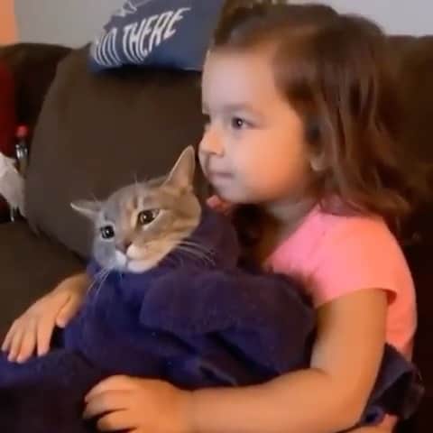 Cute Pets Dogs Catsのインスタグラム