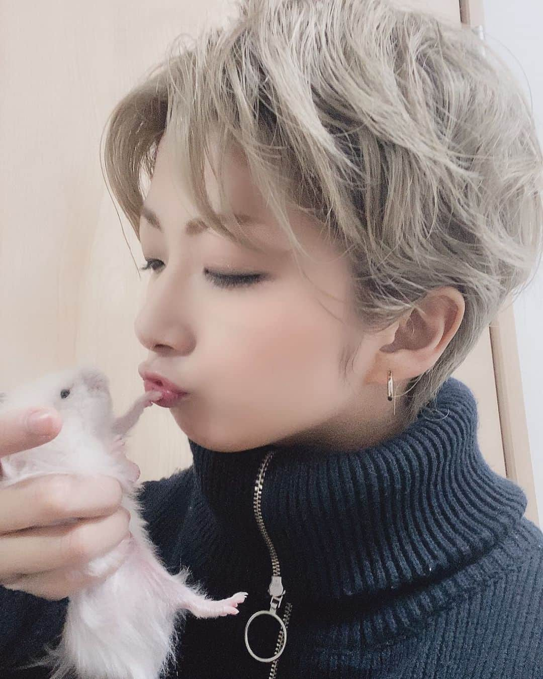 花瑛ちほさんのインスタグラム写真 - (花瑛ちほInstagram)「ちゅうさせろ💋  #hairstyle  #haircolor  #ash #whitecolor #centerpart  #shortcut  #boyish #hamster  #ハムスター  #ハムスタグラム  #ハムスター好きな人と繋がりたい  #うちの子1番」2月4日 7時13分 - eichan1117