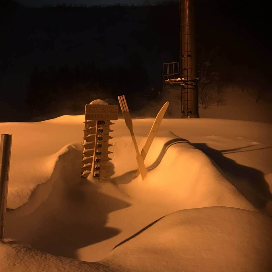 栂池高原スキー場さんのインスタグラム写真 - (栂池高原スキー場Instagram)「おはようございます！ 栂池高原スキー場、朝イチ情報です。  天候　くもり 気温　-5.5℃ 風　5～10m/s 積雪　297cm  気温が低い為、ゲレンデコンディションはよくなっています。  ご来場お待ちしております  栂池の天候はこちら↓ https://weathernews.jp/s/ski/spot/34808/  #栂池高原 #栂パウ #スキー #スノボー #フリースキー #tsugaike #hakubavalley」2月4日 7時38分 - tsugaike_kogen
