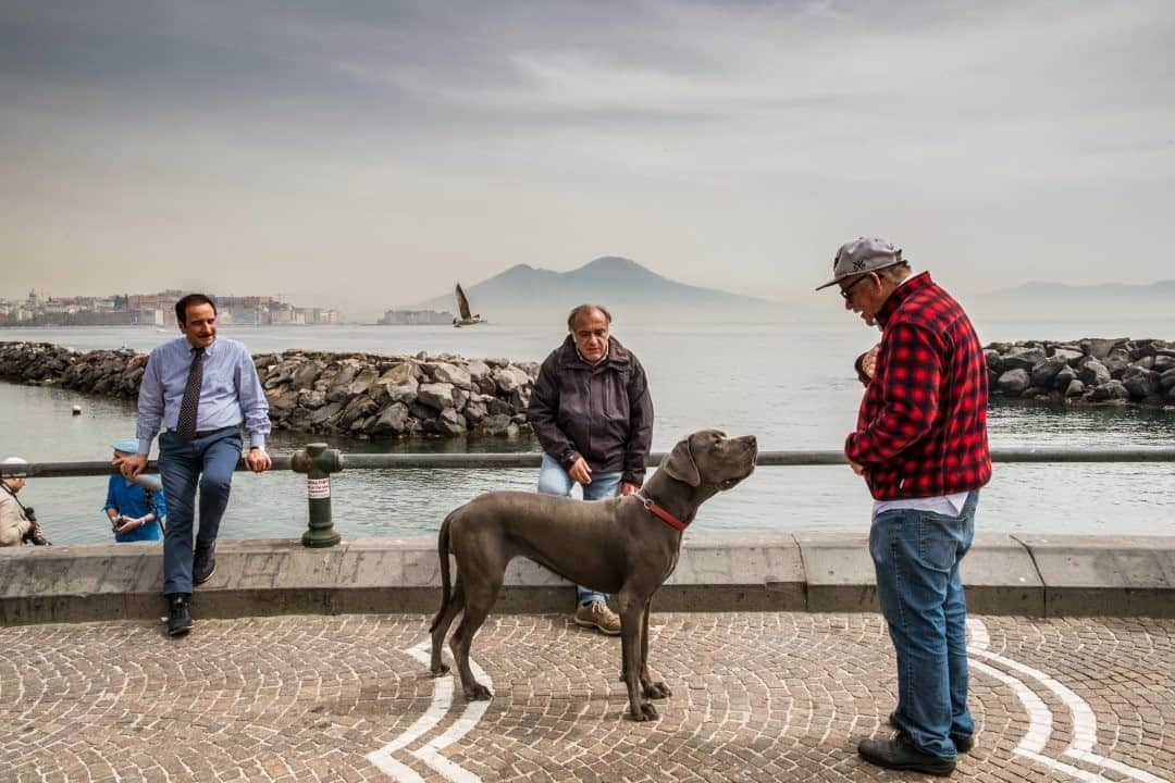 National Geographic Travelさんのインスタグラム写真 - (National Geographic TravelInstagram)「Photo by @francescolastrucci / Naples, Italy, holds a special place in my heart. It has always been one of my favorites cities to photograph and one of the best places to find serendipity, like in this pre-COVID conversation in the Mergellina neighborhood overlooking the silhouette of Mount Vesuvius. Follow me @francescolastrucci for more places, daily life, and stories around the world. #naples #italy #dailylife #serendipity」2月4日 8時36分 - natgeotravel