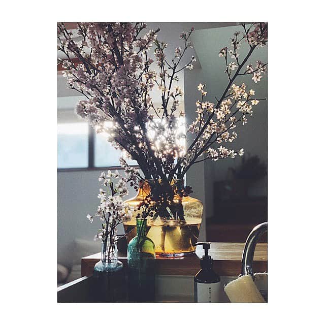 宇藤えみのインスタグラム：「立春の台所の景色が綺麗だった🌸(昨日) #暮らし#立春の景色」