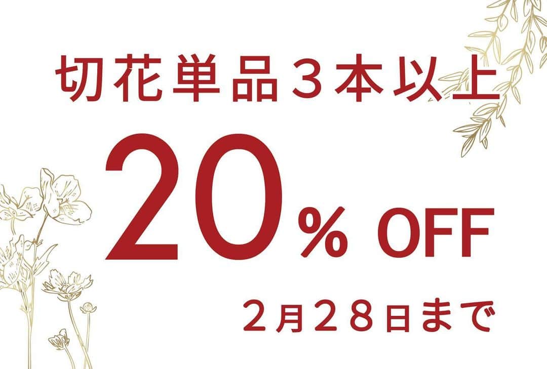 MILLE ECLAT.のグルメインスタ