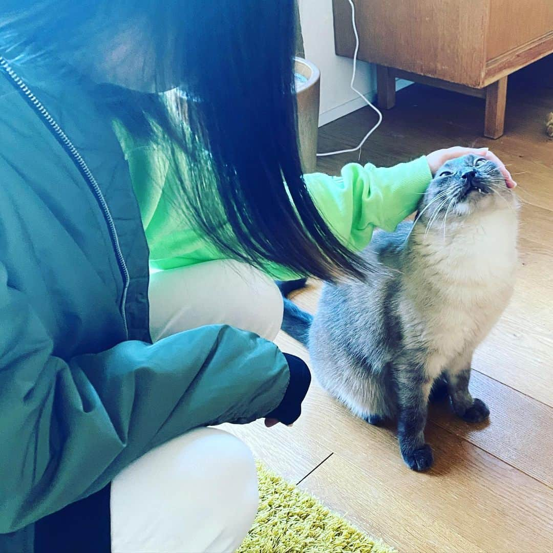 青木さやかさんのインスタグラム写真 - (青木さやかInstagram)「いってきます」2月4日 8時59分 - sayaka___aoki