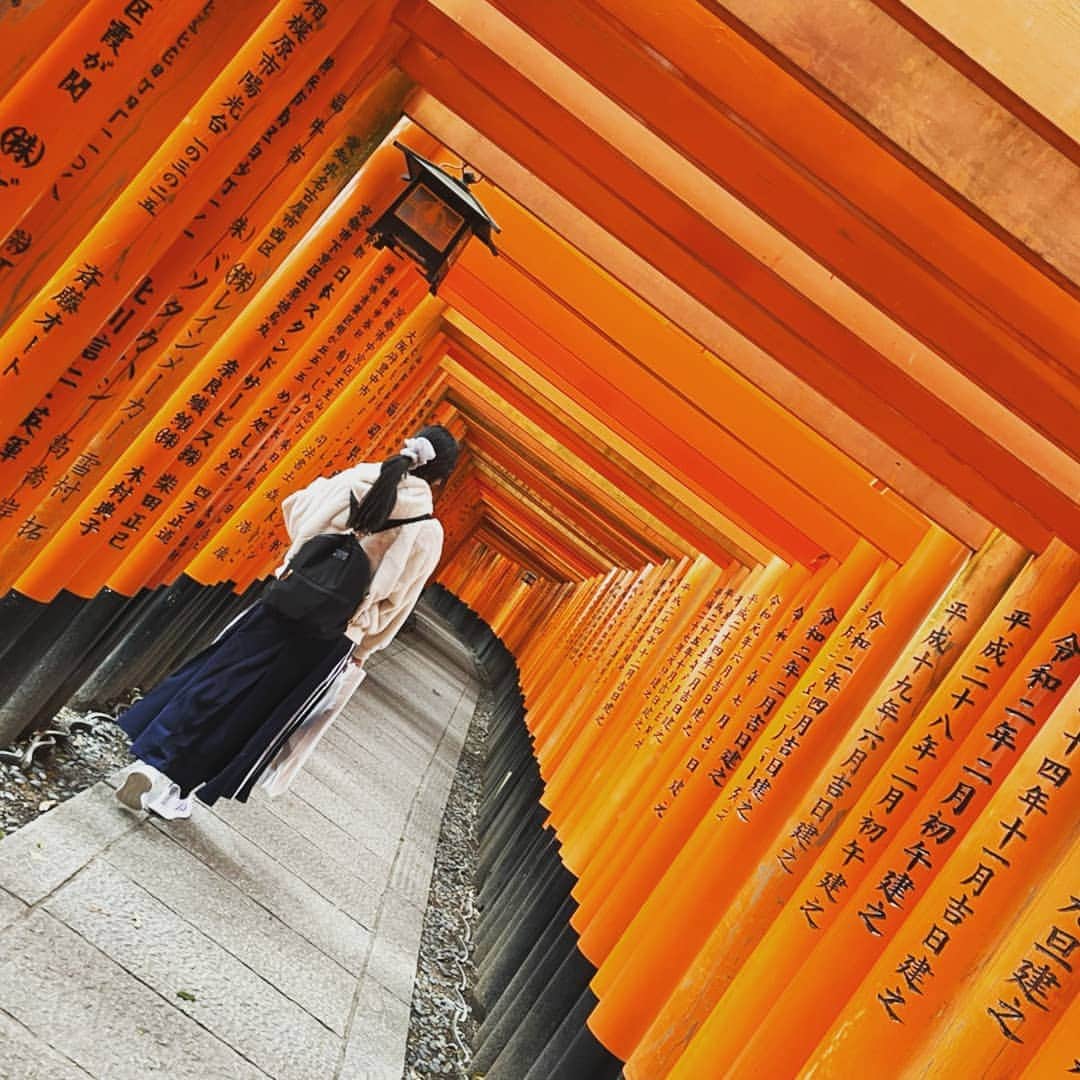 なつ葵のインスタグラム：「伏見稲荷大社🦊①🦊 「初午」やので「しるしの杉」を授かりに行って参りました☺️ 一の峰まで行きましたよ✨ 猫が沢山、日向ぼっこしてた🐱🐱  皆様にも、沢山福が訪れますように✨ . . . #kyoto#初午#伏見稲荷大社 #しるしの杉 #japanesegirl#立春 #恵比寿マスカッツ #なつ葵#adidascode」