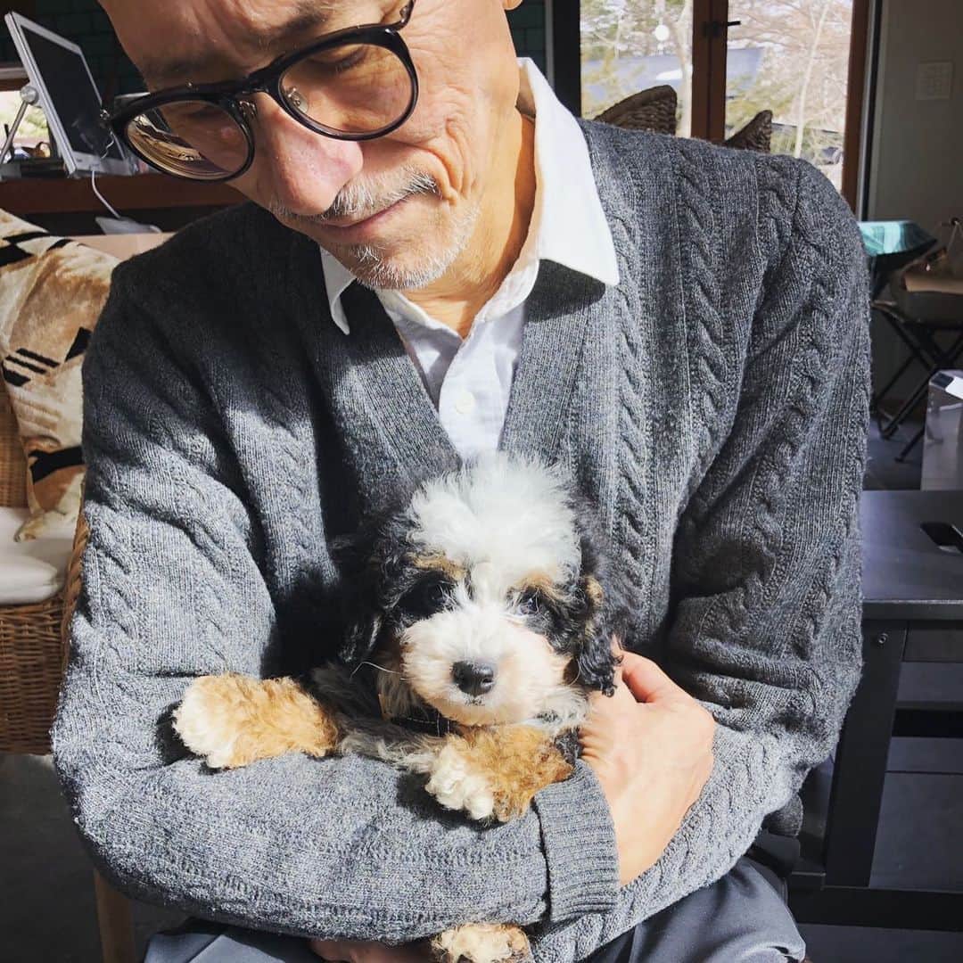 高橋幸宏さんのインスタグラム写真 - (高橋幸宏Instagram)「またまた、可愛くてUPが続きます。許して🙏✨✨✨ #pascal  #仔犬  #ヤンチャ」2月4日 14時57分 - room66_yukihiro