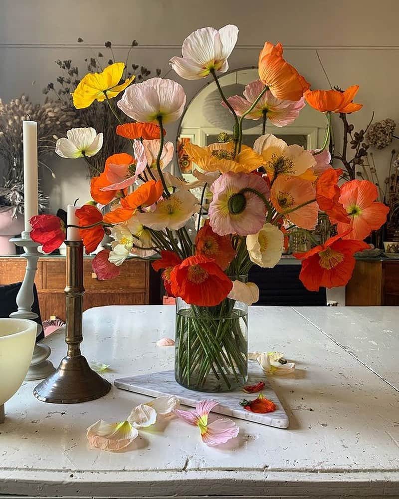 アリスマッコールのインスタグラム：「Brightening up your day with bloom inspo via @skinny_wolf 🌼 #aliceMcCALL」