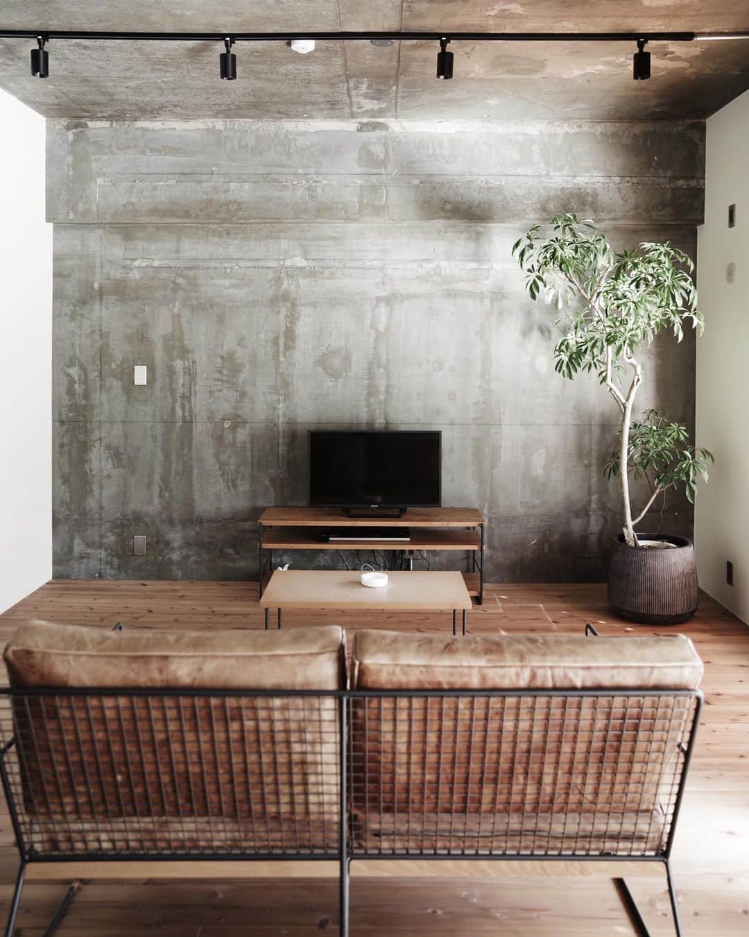 EIGHT DESIGNさんのインスタグラム写真 - (EIGHT DESIGNInstagram)「以前からHACHI KAGUの家具が好きなお施主様。  こつこつと集めた家具たちが似合う、本当に好きなものだけを厳選した空間を。  そんな想いでリノベーションした、シンプルな住まい。  足触りの柔らかな杉フローリングにクールなモルタルを合わせて。 お手持ちの家具や生活道具を引き立たせる、引き算のインテリアです。  📷RENOVATION WORKS130 愛知県長久手市H様邸より ーーー 🏯店舗兼住宅の相談会はじめました 🌳新築注文住宅コンセプトハウスで家づくり相談会 毎週末開催中！ ーーー 📺住宅&店舗の無料相談会を名古屋と東京で開催中です。お気軽にお問い合わせ下さい☺️ ーーー #インテリアコーディネート #リビング #マンションインテリア #マンションリノベーション #リビングインテリア #テーブル #レザーソファ #一人暮らしインテリア #家づくり #マイホーム #web内覧会 #ヴィンテージインテリア #カフェみたいな家 #カフェインテリア #ナチュラルインテリア #家づくり記録 #設計事務所 #建築事務所 #インテリアデザイン #eightdesign #エイトデザイン #家具 #インテリア #ライフスタイル #renovation #リノベーション #鶴舞 #阿佐ヶ谷 #ハチカグ #HACHIKAGU」2月4日 10時08分 - eightdesign