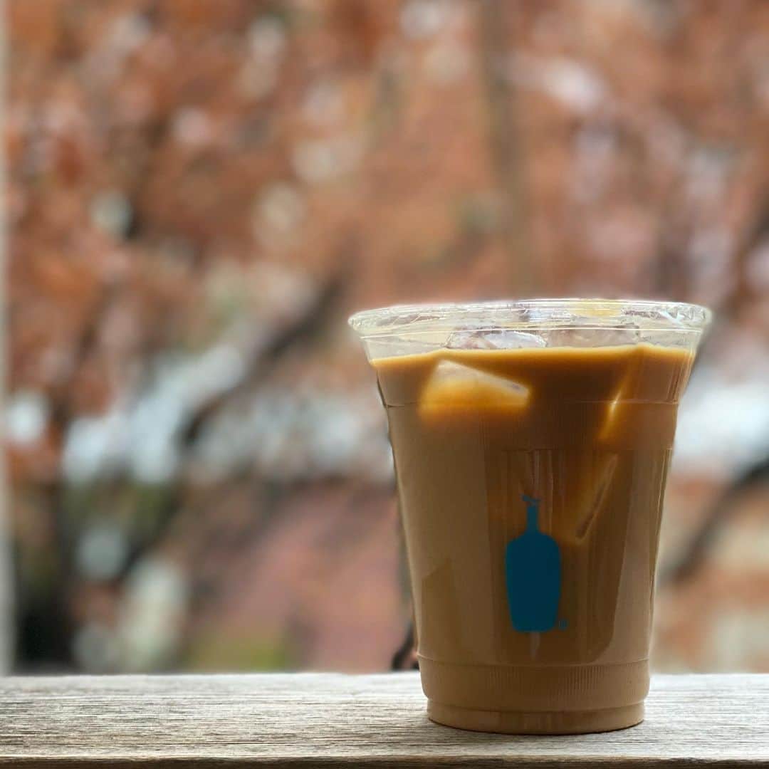 高森紫乃さんのインスタグラム写真 - (高森紫乃Instagram)「. おはよ＾＾ リハがんばってきます✌︎ きょうも踊るぞ〜🕺 #bluebottlecoffee #ブルーボトル」2月4日 10時33分 - shino_starmarie.official
