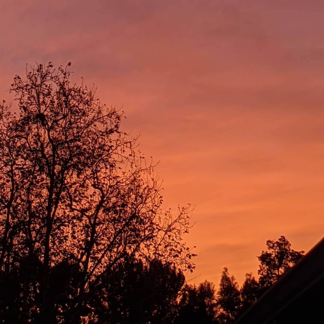 ウィル・ウィトンさんのインスタグラム写真 - (ウィル・ウィトンInstagram)「Gorgeous sunset tonight.」2月4日 10時38分 - itswilwheaton