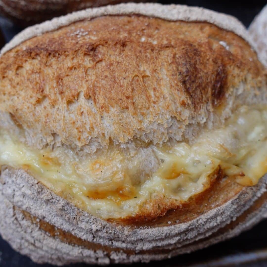 魔女菅原のグルメインスタ