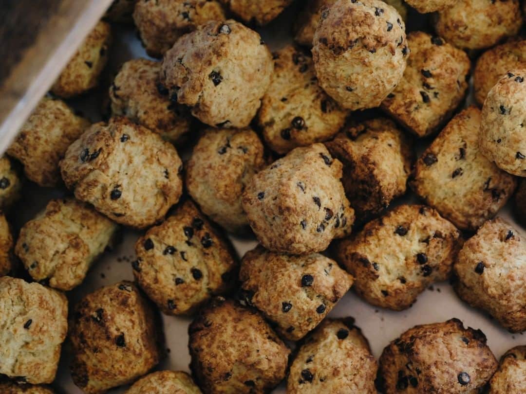 ヒラハルのグルメインスタ