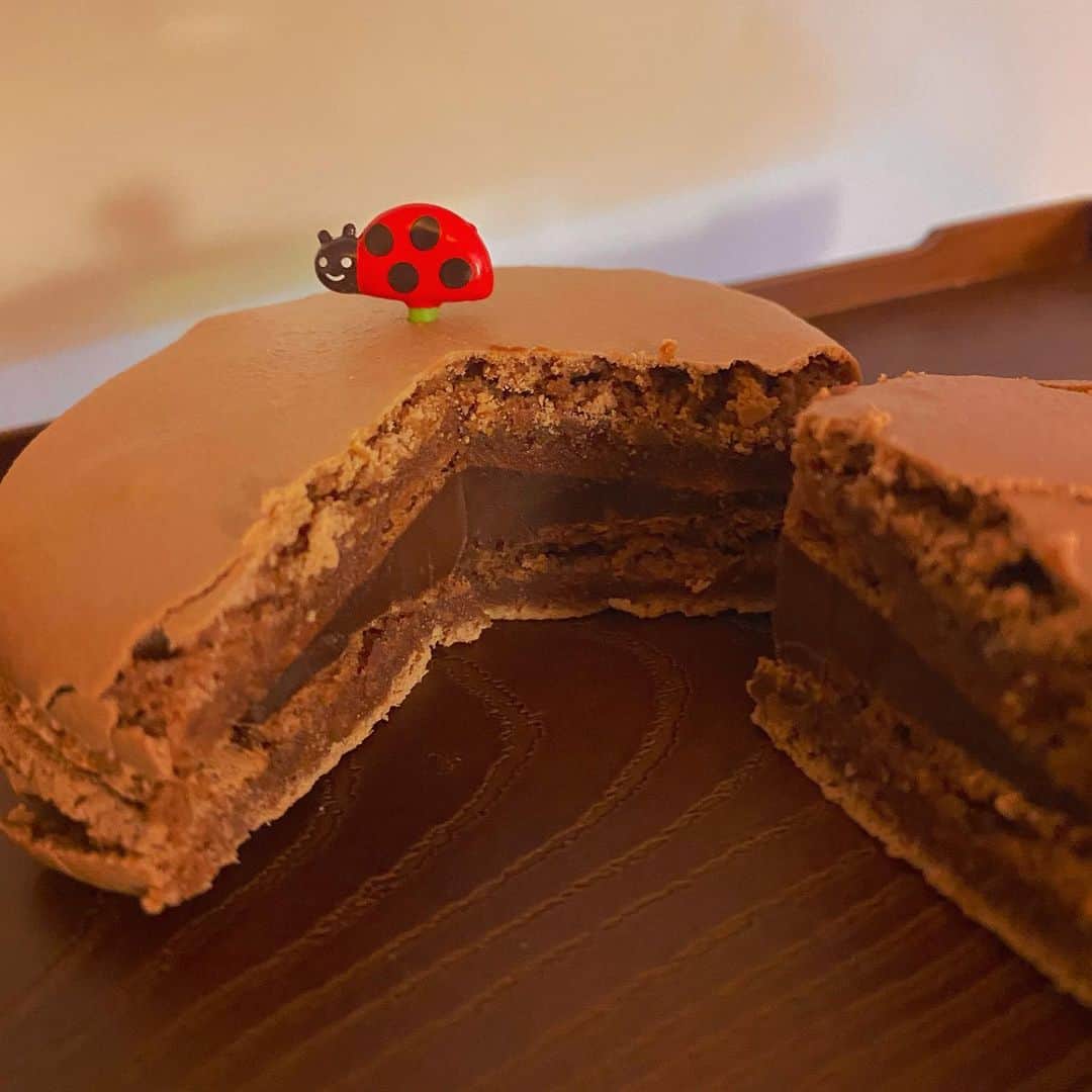Erenaのインスタグラム：「🍫ガナッシュマカロン🍫 巨大マカロンの中はこんな感じ🤤 🥨🥨🐞🥨🥨 . #マカロン#巨大マカロン#ガナッシュ#チョコレート#マカロン好きのmysisterもご満悦 #chocolate#tokyo」