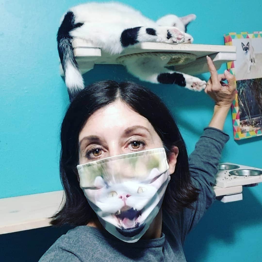 Garyさんのインスタグラム写真 - (GaryInstagram)「@ericalikescats has photographed the gang a couple of times, she has the distinction of taking my favorite Gus photo EVER, and she surprised me by making a mask with it (swipe to see original) I'm not kidding, she's good people and her masks (and photography) are top quality. You should buy some of her stuff. #gustopher」2月4日 11時44分 - omgdeedee