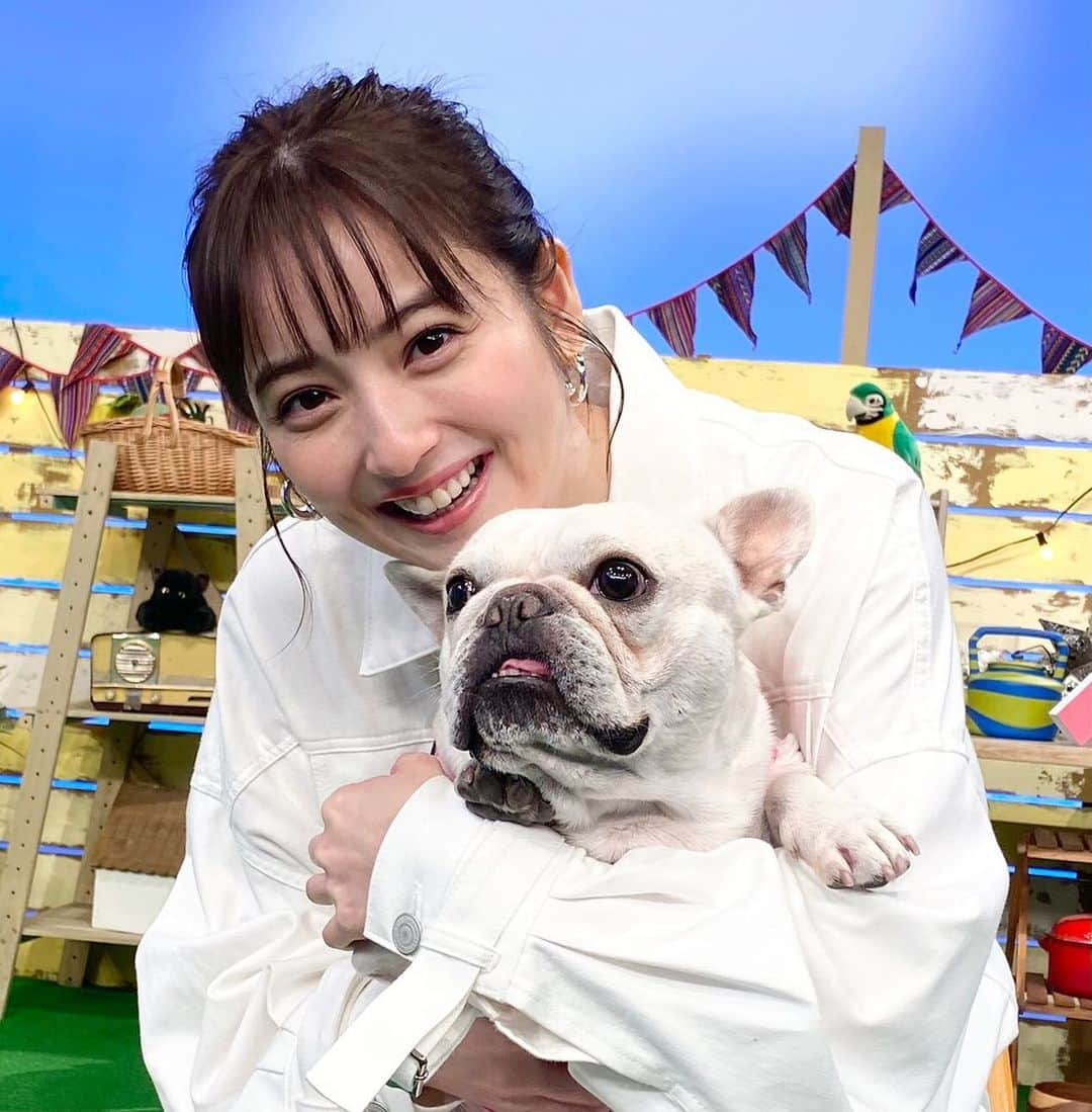 テレビ東京「どうぶつピース‼︎」のインスタグラム：「2月4日夜6時25分からはどうぶつピース!!🐶✨ なんとなんと番組MC大政絢さんの大親友、佐々木希さんがスタジオに遊びに来てくれました😘   「スマホのペット動画見せてください〜特別編〜」 みなさんのスマホに入っているペット動画を見せてもらう大人気企画❣️ ペット自慢のお宝動画がザックザク✨ 今夜も飼い主さんが激写した激カワ動画が大連発📸 我が子が見せる癒しのショットに、飼い主さんメロメロ💕 この人気企画に佐々木希が参戦！？ 大政＆佐々木の大親友コンビと春日＆若林の大親友コンビで お宝動画を探しに行くはずだったが‥💦   「あにまる子ちゃん」 動物が大好きでたまらない小学生の女の子に密着❣️ 家を訪ねると、どこもかしこも動物だらけ🦁🐘🐼 休みの日には年パスを持っている動物園へ✨ すると、出てくる出てくる動物うんちく！！！ これだけ動物が好きで、月に何回も動物園へ通っているのに見たことがない動物が？？ その動物を初めて見に行く日にスタッフも同行😀 果たしてその動物とは？？   「激カワ衝撃映像大連発」 偶然撮れた動物たちの激カワ衝撃映像をドドンと大公開😻 見ているだけで幸せになれる動物の赤ちゃんたちが大集合🐶🐱 海の天使にそっくりなポーズをする猫ちゃんや🐈 キリンの赤ちゃんの激レア激カワ動画まで❣️ 世界から届いた目を丸くするような衝撃映像をお見逃しなく✨     「アフレコチャレンジ」 たまたまやりま〜す、アフレコチャレンジ❗️ 動物たちはなんと言っている？？？ 動物たちの気持ちになりきってアフレコをしろ📣 このアフレコチャレンジに佐々木希が参戦✨   番組ではペットの動画と写真の投稿をお待ちしております。 皆さん、自慢のペットをテレビデビューさせちゃいましょう📺   詳しくは番組ホームページをcheck✔️   #どうぶつピース #ぴーす君 #テレビ東京 #tvtokyo #オードリー #若林正恭 #春日俊彰 #大政絢 #佐々木希 #犬 #dog #わんこ #猫 #cat #ニャンコ #動物 #どうぶつ #animal #赤ちゃん #かわいい #instadog #犬のいる暮らし #動物好きな人と繋がりたい  #共演  #親友」