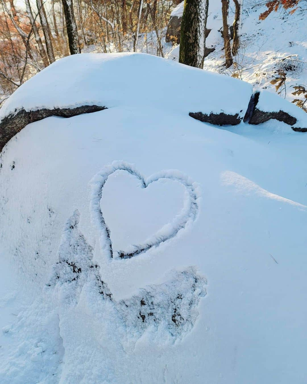 イ・シヨンさんのインスタグラム写真 - (イ・シヨンInstagram)「지금까지 갔던 청계산중에 가장 예쁜 날이었다❄」2月4日 12時35分 - leesiyoung38