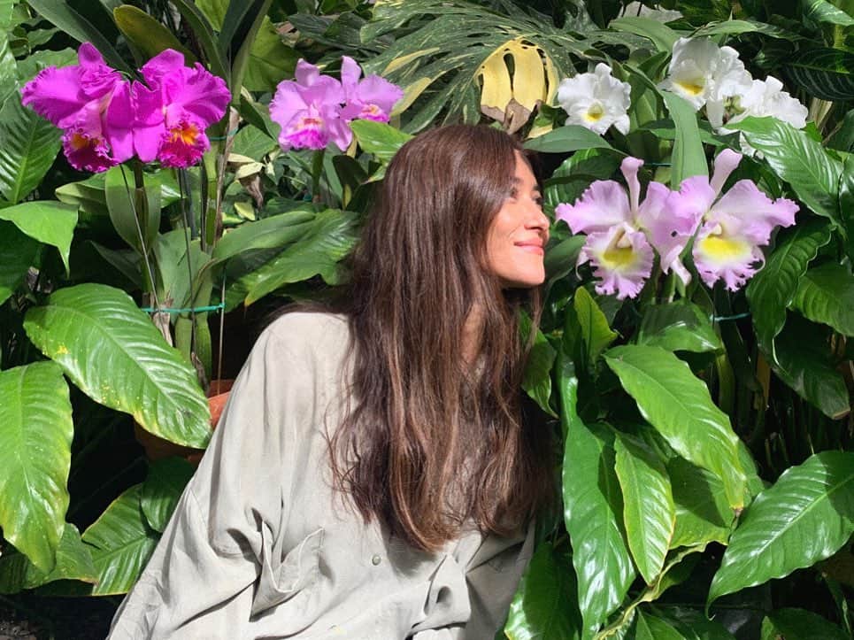 ブレンダのインスタグラム：「Giant orchids at Foster Botanical Garden 🥰」