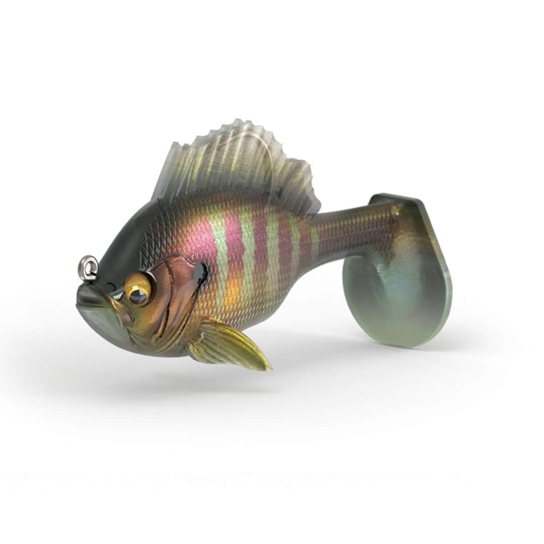 Megabass Inc.のインスタグラム：「【2021 NEW ITEM】 SLEEPER GILL ギル＆鮒パターンにとことんアジャスト‼ 究極のスナッグレスシャッドが、あらゆる場所へ濃密コンタクト！ https://www.megabass.co.jp/site/products/sleeper-gill/  It'll absolutely adjust to Bluegill and Funa pattern.  This ultimate snugless shad will make a persistent contact to various type of structures.   #メガバス #megabass #UniversalSecret #SleeperGill #スリーパーギル #darksleeper #ダークスリーパー」