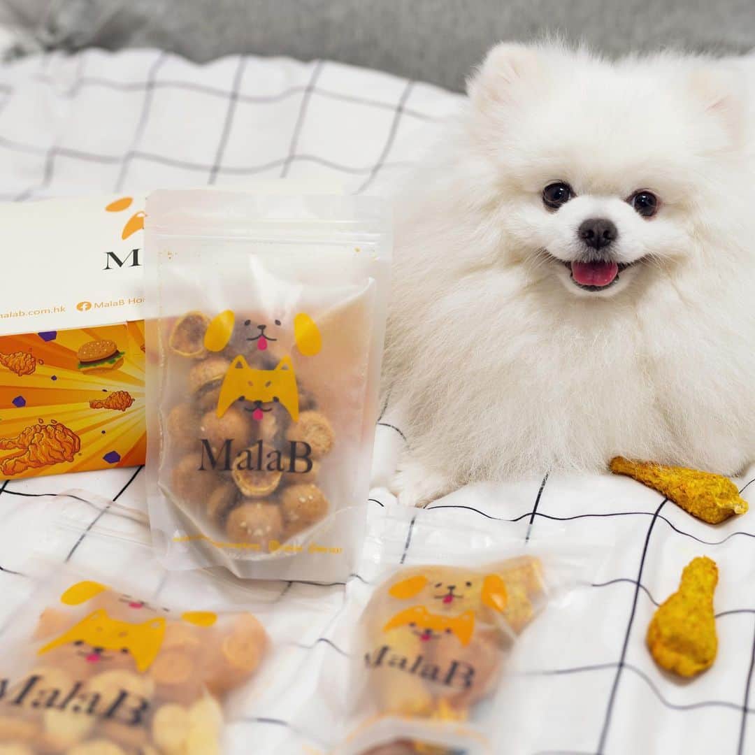 Mochi the Orkyehのインスタグラム：「Trying some new locally made treats by @malabhk 🍗 Made with natural ingredients, no preservatives or food coloring added! 👍🏻 A healthy treats means a healthy me! 😋❤️ #MalaB」