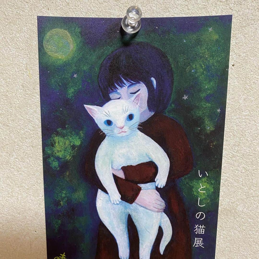 yamanekoさんのインスタグラム写真 - (yamanekoInstagram)「@watagumosya  明日から始まります。 「いとしの猫展」 うちからトコトコ歩いて行った７匹にゃんが愛媛で待ってます。  #watagumo舎 #いとしのねこ展 #ねこ #猫#ねこ部 #木彫ねこ #ねこすたぐらむ #猫彫刻 #彫刻 #cat #バンナイリョウジ #catstagram #catsofinstagram #catsculpture #woodcarving #woodworking #woodsculpture #ryojibannai」2月4日 22時45分 - yamaneko5656