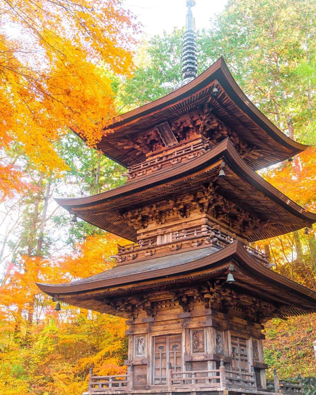 6151のインスタグラム：「佐久の苔寺  ---  「長野県佐久市」への旅 Hanako No.1193  #hanakotravel 掲載中です。」