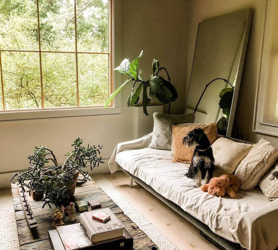 Airbnbのインスタグラム：「What’s a dog to do? This Catskills cottage is trotting distance from endless trails and the ruins of the Overlook Mountain Hotel, a once-grand resort with birch trees growing up through the floors. But someone has to stay home on the cozy couch and watch over the stuffed puppy. Maybe the humans can babysit.   Photo: @youshouldalreadyknow」