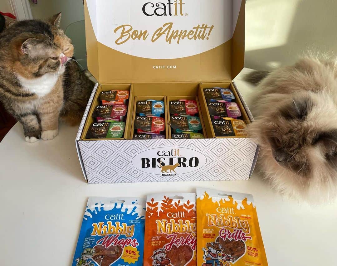 Tinaさんのインスタグラム写真 - (TinaInstagram)「❤️GIVEAWAY❤️We have teamed up with @Catitdesignproducts for a fun giveaway for one our followers just in time for Valentine’s Day! George and Wheezy can’t wait to dig into their new Bistro Box!  To enter:⁠ 1. Like this photo 2. Make sure you’re following me and @catitdesignproducts  3. Tag one friend (or more!) in the comments 4. To receive a bonus entry, share this post to your stories!   💝 package: Two-month supply of Catit Dinner Bistro Boxes (60 servings) A variety of other Catit treats and toys   One winner will be selected on February 10, 2021 and notified via DM. Only valid for U.S. residents.   There are three Bistro Box varieties – Chicken, Fish or Variety (30 servings per box). Catit Dinner is premium-quality wet food with a unique dual-texture format And made with fresh, all-natural ingredients and essential nutrients.  You can receive a 15% Catit coupon when you sign up for Catit’s e-newsletter Catit For You: https://usa.catit.com/for-you/#subscribe  Good Luck!🤞🏻😉  #catitbistrobox #catitdesignproducts #catit」2月4日 23時41分 - tinaf78