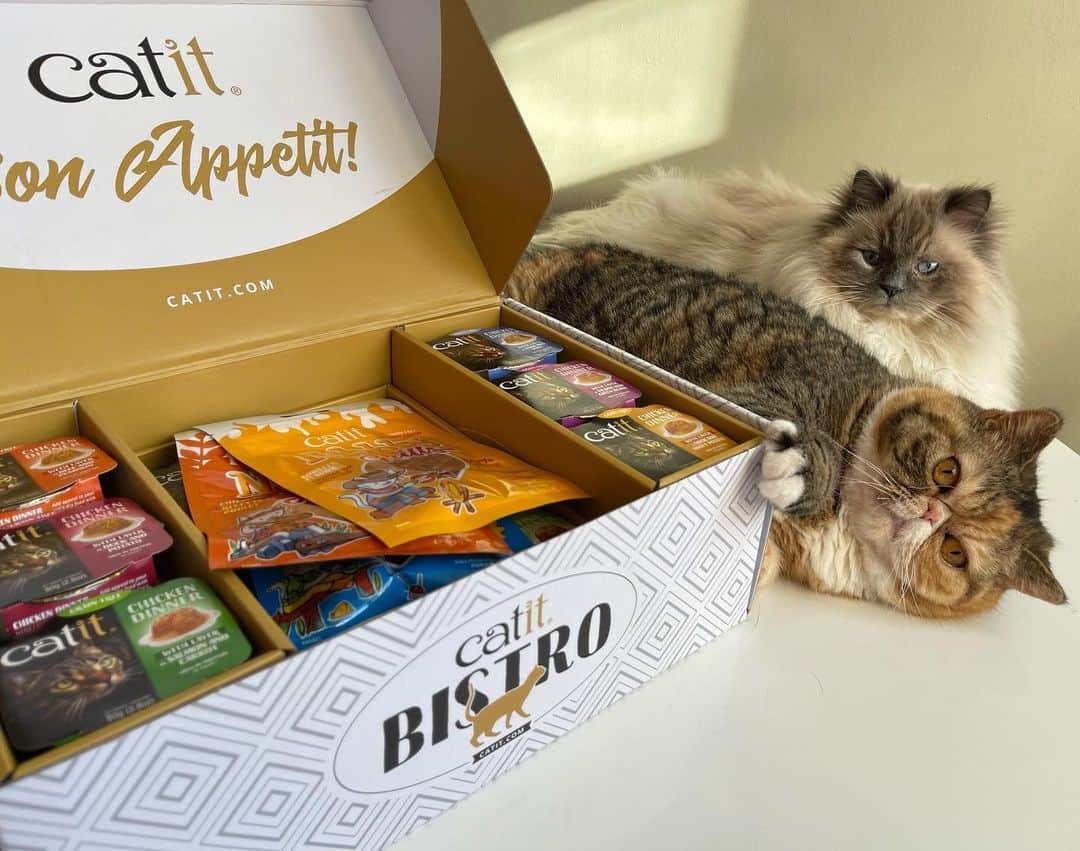 Tinaのインスタグラム：「❤️GIVEAWAY❤️We have teamed up with @Catitdesignproducts for a fun giveaway for one our followers just in time for Valentine’s Day! George and Wheezy can’t wait to dig into their new Bistro Box!  To enter:⁠ 1. Like this photo 2. Make sure you’re following me and @catitdesignproducts  3. Tag one friend (or more!) in the comments 4. To receive a bonus entry, share this post to your stories!   💝 package: Two-month supply of Catit Dinner Bistro Boxes (60 servings) A variety of other Catit treats and toys   One winner will be selected on February 10, 2021 and notified via DM. Only valid for U.S. residents.   There are three Bistro Box varieties – Chicken, Fish or Variety (30 servings per box). Catit Dinner is premium-quality wet food with a unique dual-texture format And made with fresh, all-natural ingredients and essential nutrients.  You can receive a 15% Catit coupon when you sign up for Catit’s e-newsletter Catit For You: https://usa.catit.com/for-you/#subscribe  Good Luck!🤞🏻😉  #catitbistrobox #catitdesignproducts #catit」