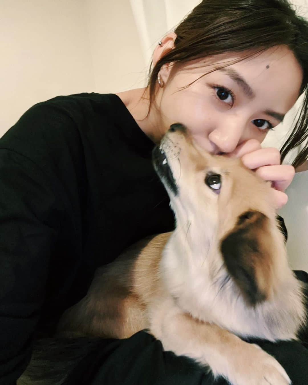 Shiho Sasakiのインスタグラム：「小さいころから写真嫌いなジャスミンさん🐶  へとへとで帰ってきても 顔みたら一瞬で疲れが吹っ飛ぶんだよな🐾 いつもありがとう🤍 #お家時間」
