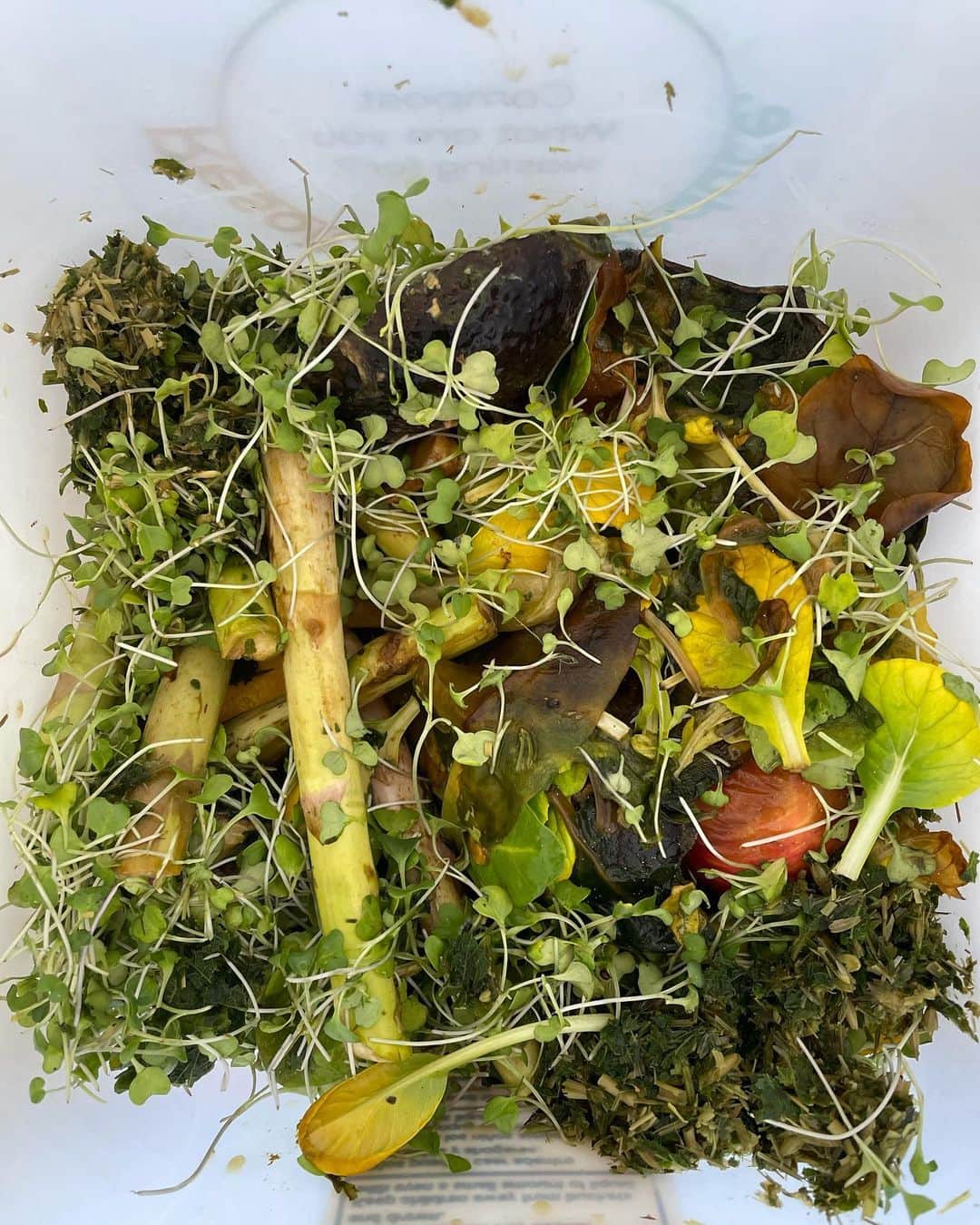 ベス・ベアーズのインスタグラム：「I interrupt my regularly scheduled content about @harmonicspodcast to bring you my very artsy compost shots, and to make sure all of you know how important it is to compost your food waste! Compost can replenish and stabilize soil, helping to boost and sustain food production in the future. It can also help pull carbon out of the atmosphere, helping to tackle global warming, and replace polluting chemical fertilizers, protecting public health. Thanks to @compostable.la for offering curbside pickup! If we all did this one thing the 🌎 could breathe a little deeper!」