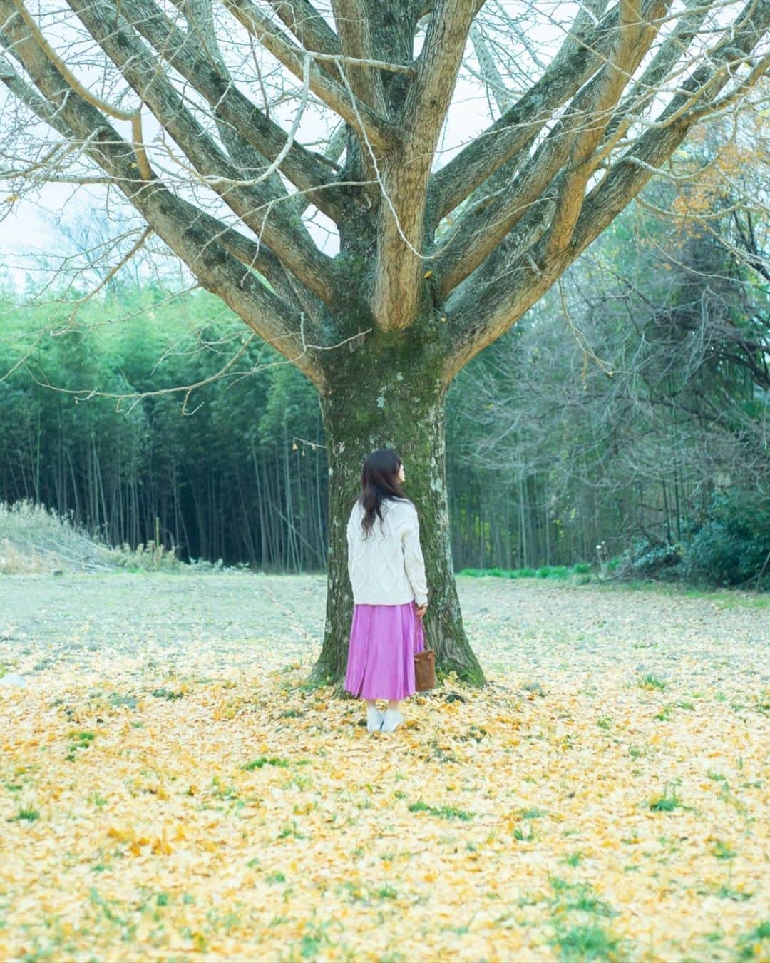 のインスタグラム：「#モデルのおしごと記録📷  #shesawohara  銀杏の木。 ＿＿＿＿＿＿＿＿＿＿＿＿＿＿＿＿＿＿＿＿＿＿＿＿＿ #shooting #model #ohara #kyoto #japan #trip #travel #travelphotography #travelgram #tree #sightseeing #撮影 #大原 #京都 #京都大原 #旅行 #旅 #観光 #京都観光 #京都旅行 #京都散策 #京都旅 #観光スポット #撮影モデル #モデル #銀杏 #イチョウ」