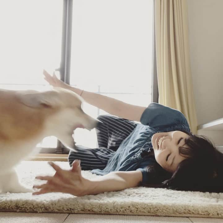 さゆりのインスタグラム：「◡̈⋆2021.2.4.Thu.◡̈⋆ Come to Mommy.😂💕 * しゅきしゅき😘❤️ * * * * *」