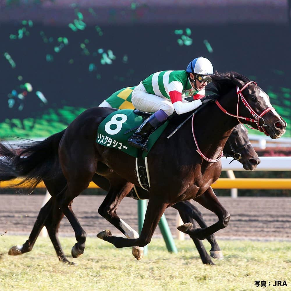 umabi_officialのインスタグラム：「今週末は、東京新聞杯(GIII)！  #2018年の優勝馬は #リスグラシュー #この年の秋に #エリザベス女王杯 で #念願のGI初制覇 #翌年には #牝馬初の春秋グランプリ制覇 など #凄い活躍だったね #うまび #東京新聞杯」