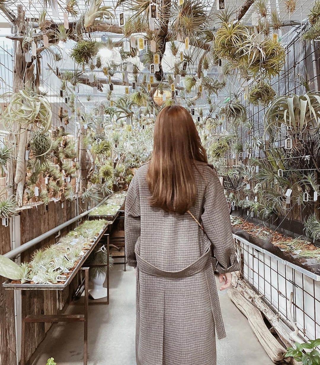 𝙺𝚢𝚘𝚔𝚘のグルメインスタ