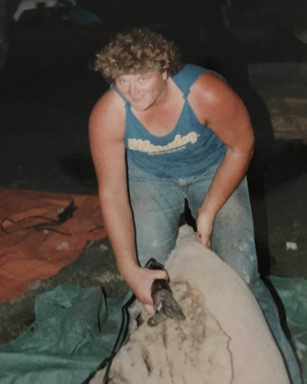 ドット=マリー・ジョーンズさんのインスタグラム写真 - (ドット=マリー・ジョーンズInstagram)「WAY WAY BACK!! ONE OF THE HARDEST JOBS I’VE HAD SHEARING SHEEP!  ONE OF MY SPRING/ SUMMER JOBS. I’M THINKING THE WAS AROUND 1983! HARD WORK BUT I WOULDN’T  CHANGE A THING!💪🏻💪🏻 #FARMGIRL #SHEEPSHEARING  #WAYBACKWEDNESDAY」2月4日 15時49分 - dotmariejones