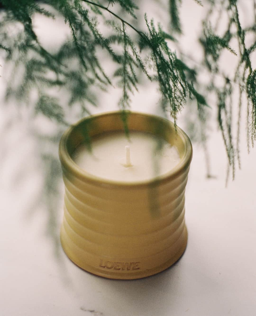 Loeweさんのインスタグラム写真 - (LoeweInstagram)「Honeysuckle LOEWE Home Scents candle, featured in Wylde Magazine.  loewe.com  #LOEWE #LOEWEperfumes」2月4日 16時00分 - loewe